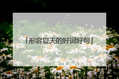 形容夏天的好词好句