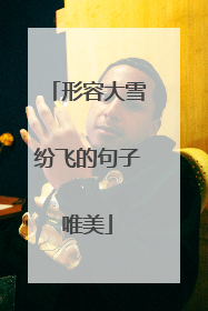 形容大雪纷飞的句子唯美