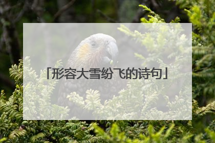 形容大雪纷飞的诗句
