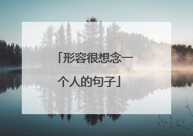 形容很想念一个人的句子