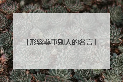 形容尊重别人的名言