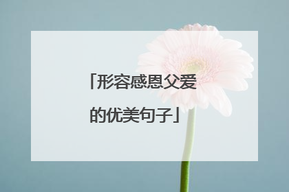 形容感恩父爱的优美句子