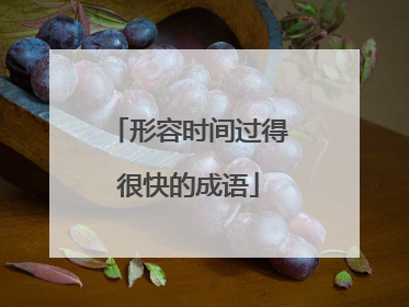 形容时间过得很快的成语