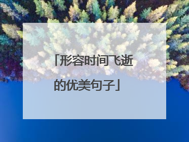 形容时间飞逝的优美句子