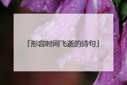 形容时间飞逝的诗句