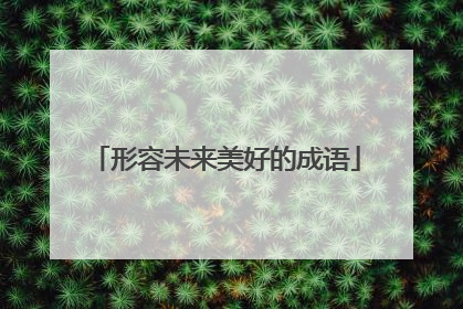 形容未来美好的成语