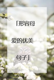 形容母爱的优美句子