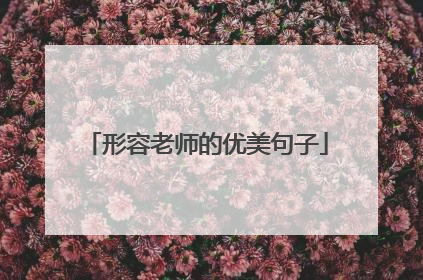形容老师的优美句子