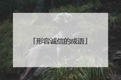 形容诚信的成语