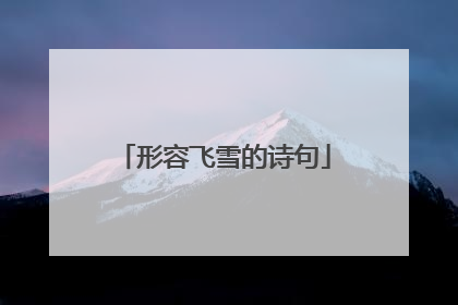 形容飞雪的诗句