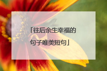 往后余生幸福的句子唯美短句