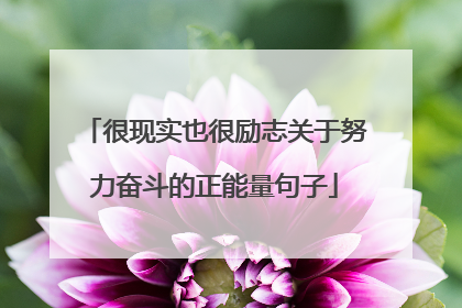 很现实也很励志关于努力奋斗的正能量句子