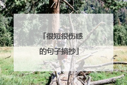 很短很伤感的句子摘抄