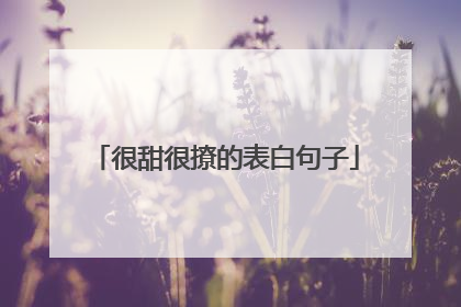 很甜很撩的表白句子