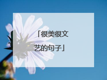 很美很文艺的句子