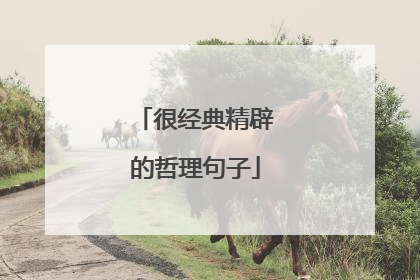 很经典精辟的哲理句子