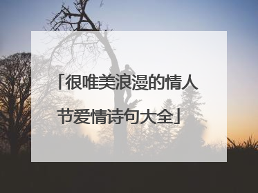 很唯美浪漫的情人节爱情诗句大全