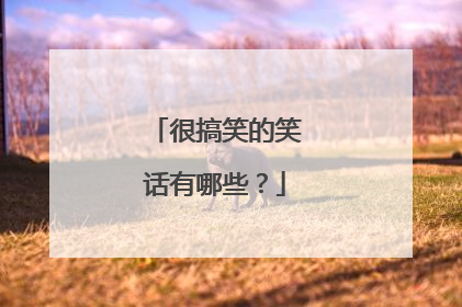 很搞笑的笑话有哪些?