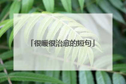 很暖很治愈的短句