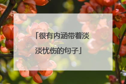 很有内涵带着淡淡忧伤的句子