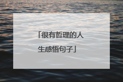 很有哲理的人生感悟句子