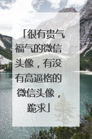 很有贵气福气的微信头像,有没有高逼格的微信头像,跪求