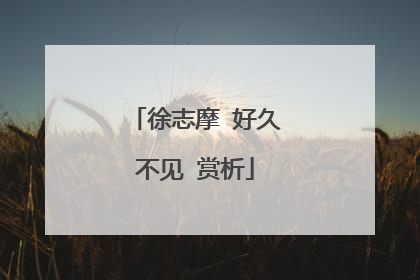 徐志摩 好久不见 赏析