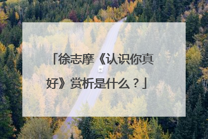 徐志摩《认识你真好》赏析是什么?