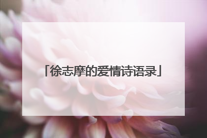 徐志摩的爱情诗语录