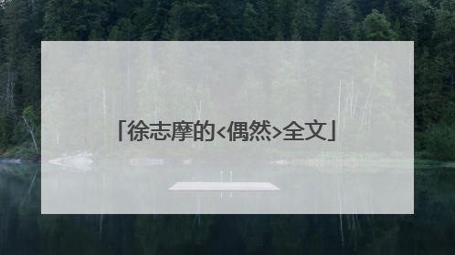 徐志摩的<偶然>全文