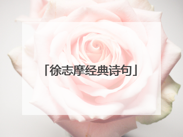 徐志摩经典诗句