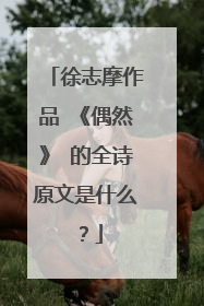徐志摩作品 《偶然》 的全诗原文是什么?