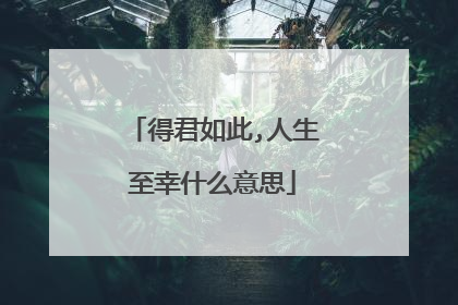得君如此,人生至幸什么意思