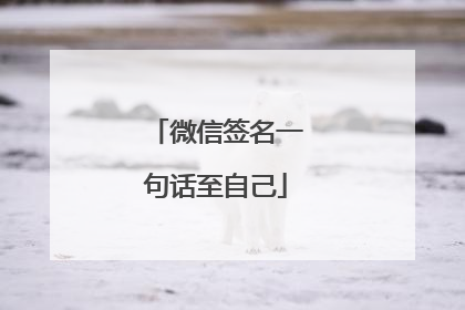 微信签名一句话至自己