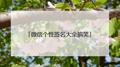 微信个性签名大全搞笑