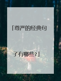 尊严的经典句子有哪些?
