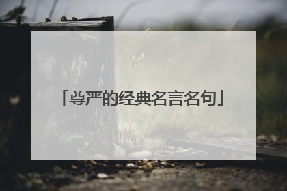 尊严的经典名言名句