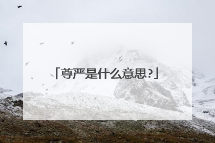 尊严是什么意思?