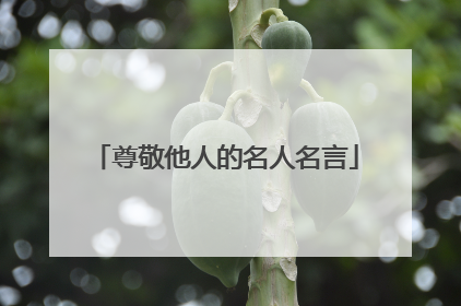 尊敬他人的名人名言