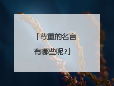 尊重的名言有哪些呢?
