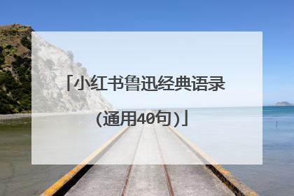 小红书鲁迅经典语录 (通用40句)
