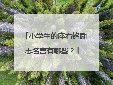 小学生的座右铭励志名言有哪些?