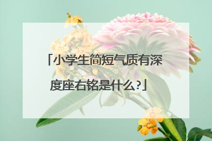 小学生简短气质有深度座右铭是什么?