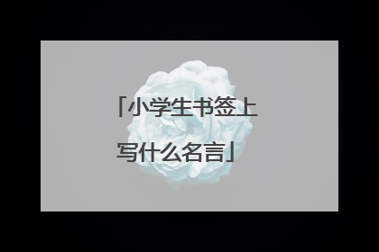 小学生书签上写什么名言