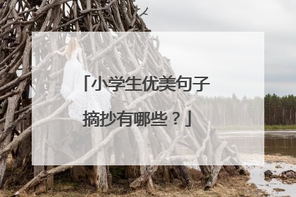 小学生优美句子摘抄有哪些?