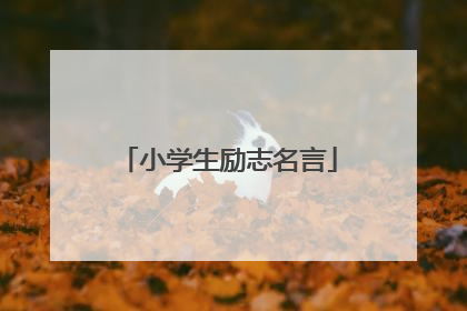 小学生励志名言