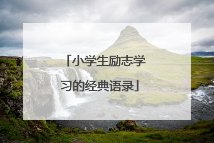 小学生励志学习的经典语录