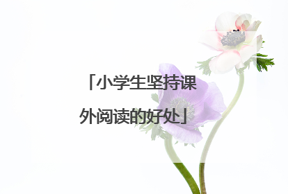小学生坚持课外阅读的好处