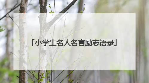 小学生名人名言励志语录