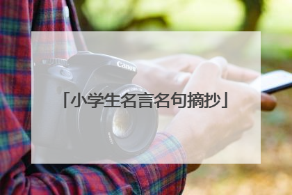 小学生名言名句摘抄